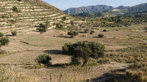 Foto 3 de Finca rústica en venda a Partida Figueret , 2, Relleu, Alicante
