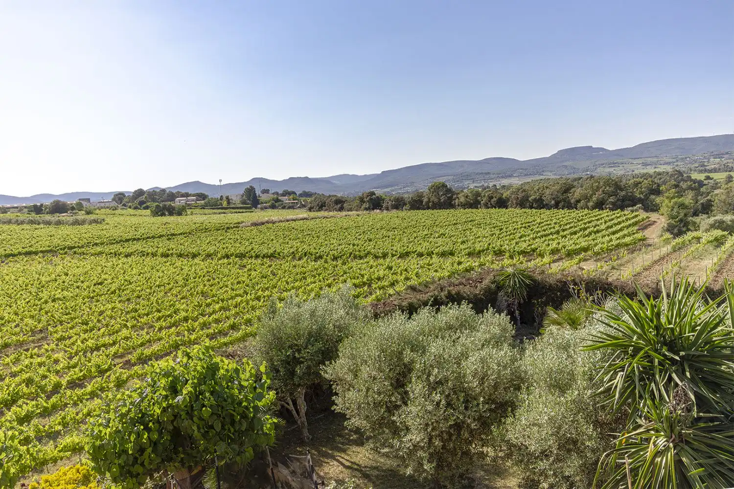 Houses for sale in Sant Martí Sarroca  with Air Conditioner, Heating and Terrace
