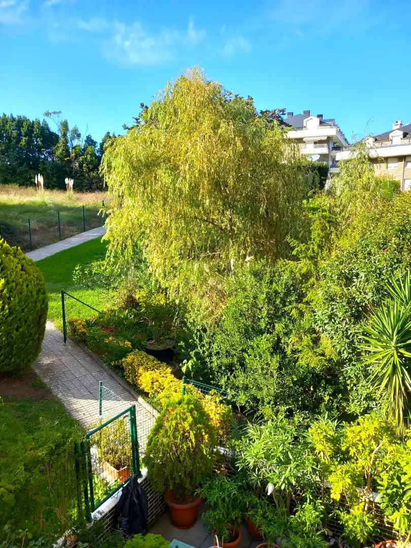 Jardín de Piso en venta en Castro-Urdiales con Calefacción, Jardín privado y Parquet