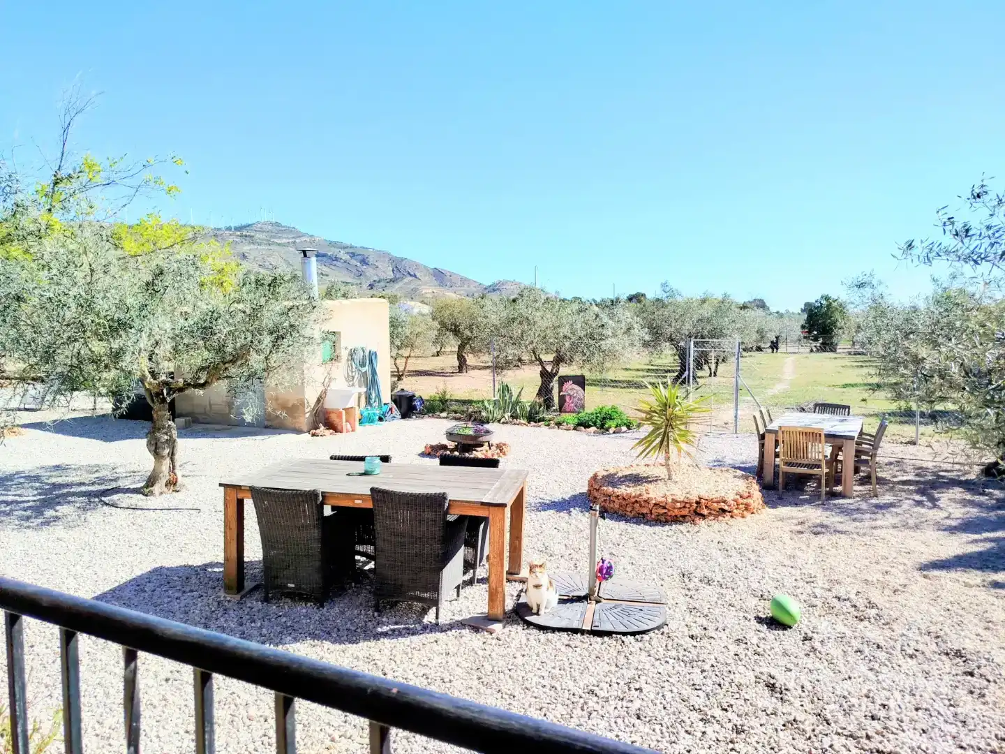 Jardín de Finca rústica en venta en Caudete con Aire acondicionado y Piscina