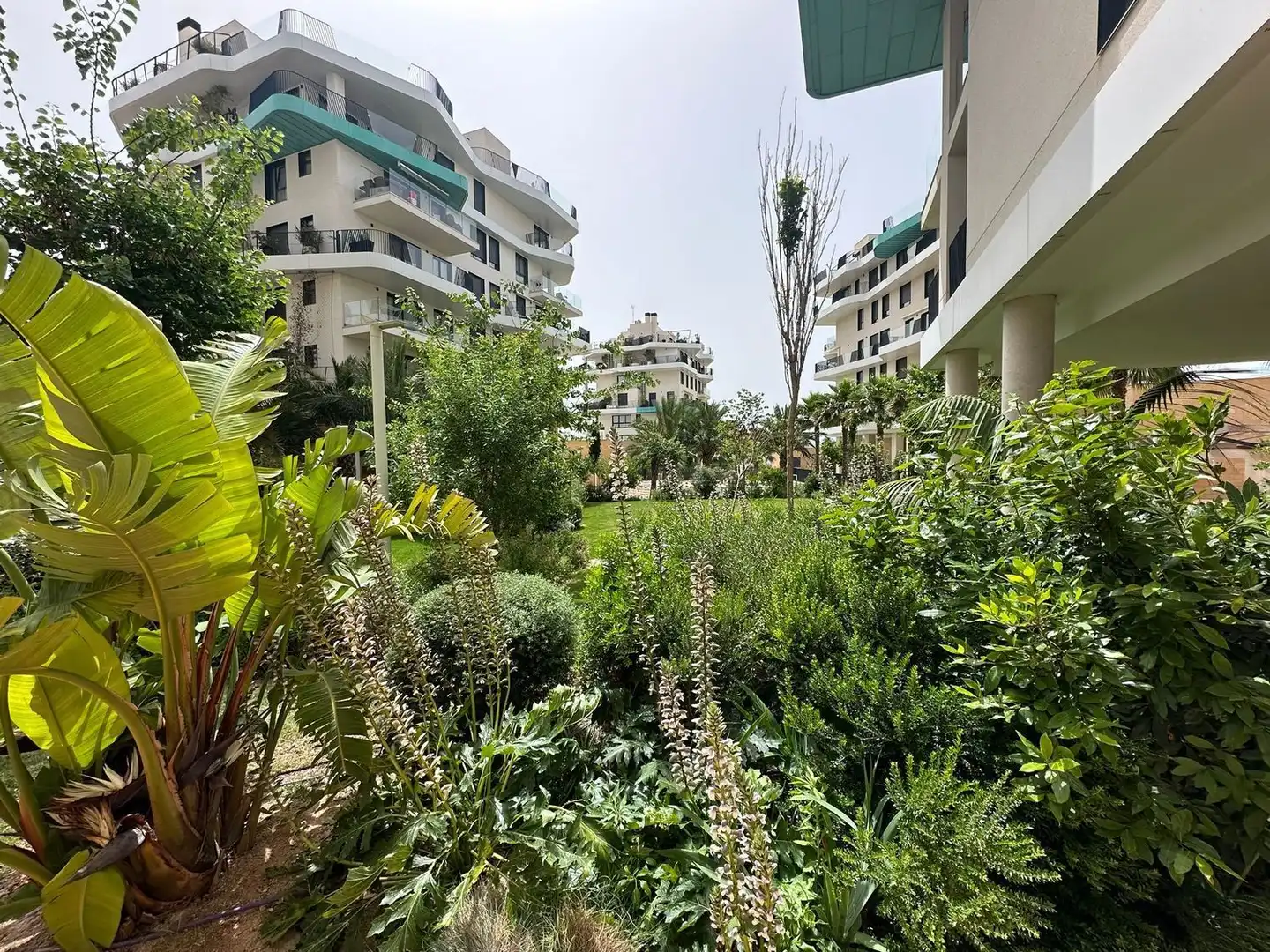 Dachboden zum Verkauf in Calle Edeta, Platja de Torres