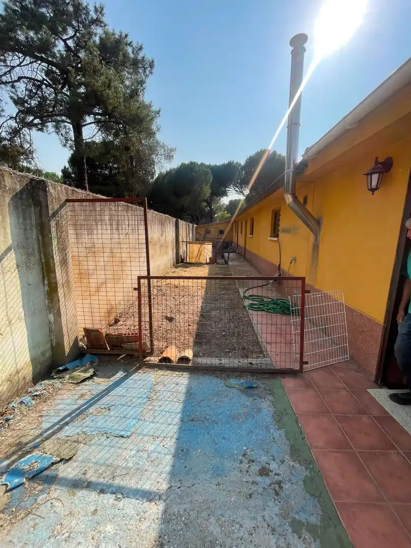 Chalet con piscina en venta en Tudela de Duero, imagen 27
