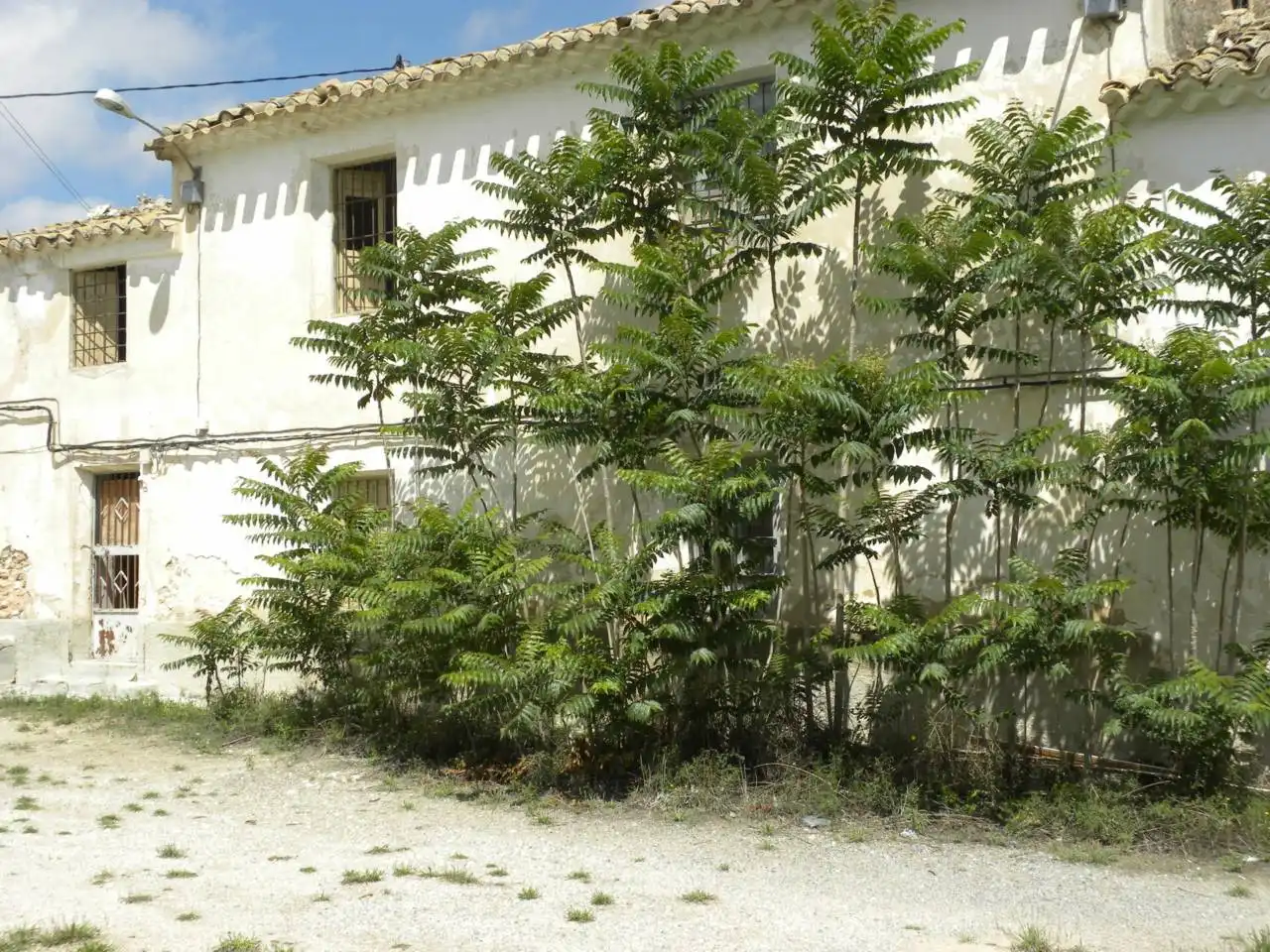 Casa rústica en venda a Caravaca de la Cruz, imagen 7