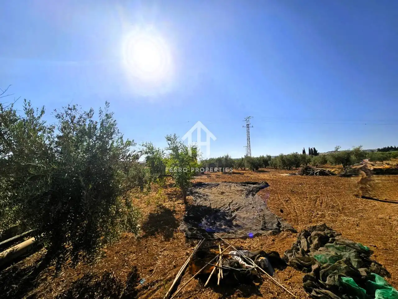 Terreni e lotti in vendita a Moraleda de Zafayona, imagen 41