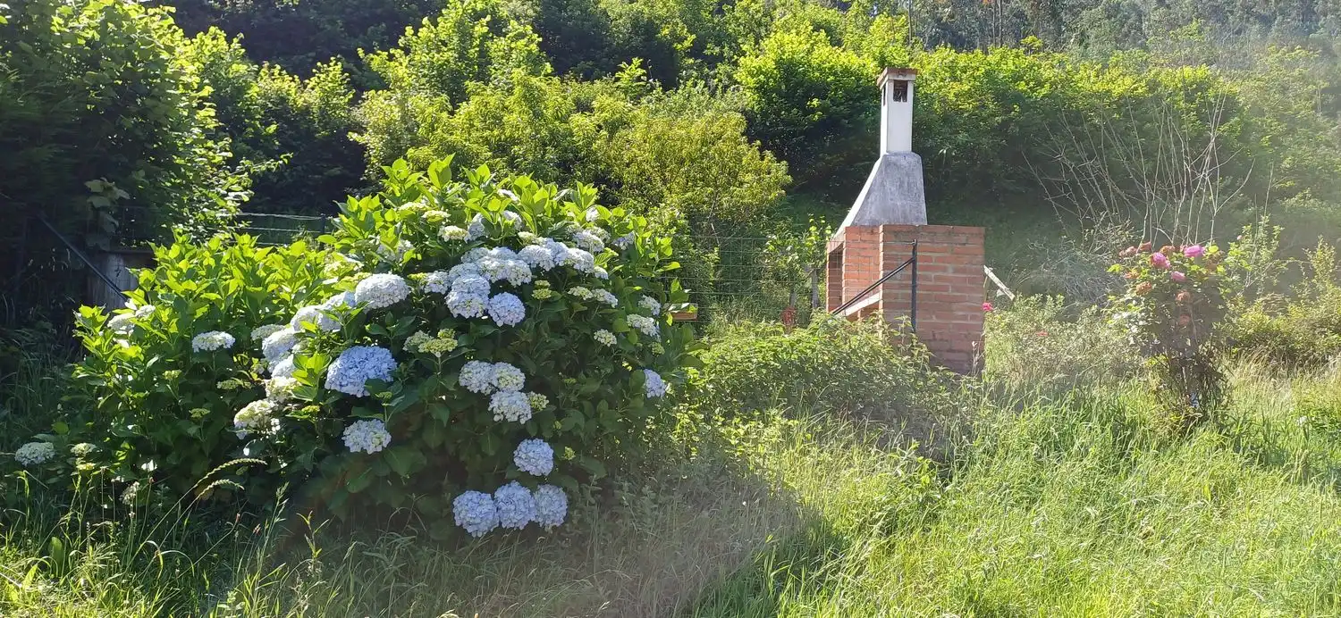Casa o xalet en venda a Colunga