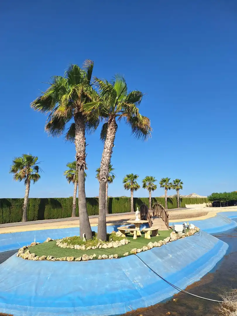 Chalet con piscina en venta en Pedanías Este, imagen 47