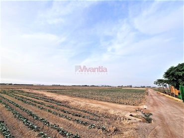 Terreno residenziale in vendita a Pedanías Centro