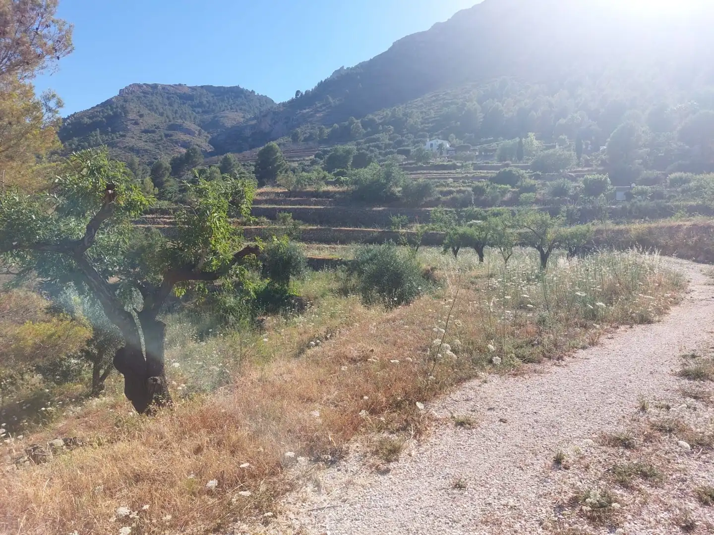 Terrenys i solars en venda a Xaló, imagen 13