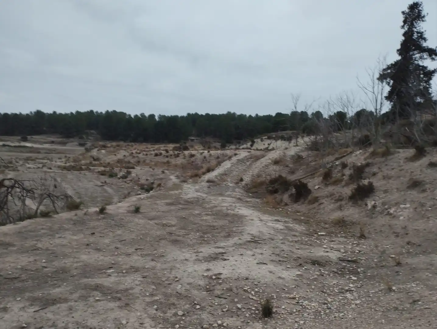 Terreno rustico in vendita a Pt Rincón de Egea - Hoya Redonda -, imagen 12