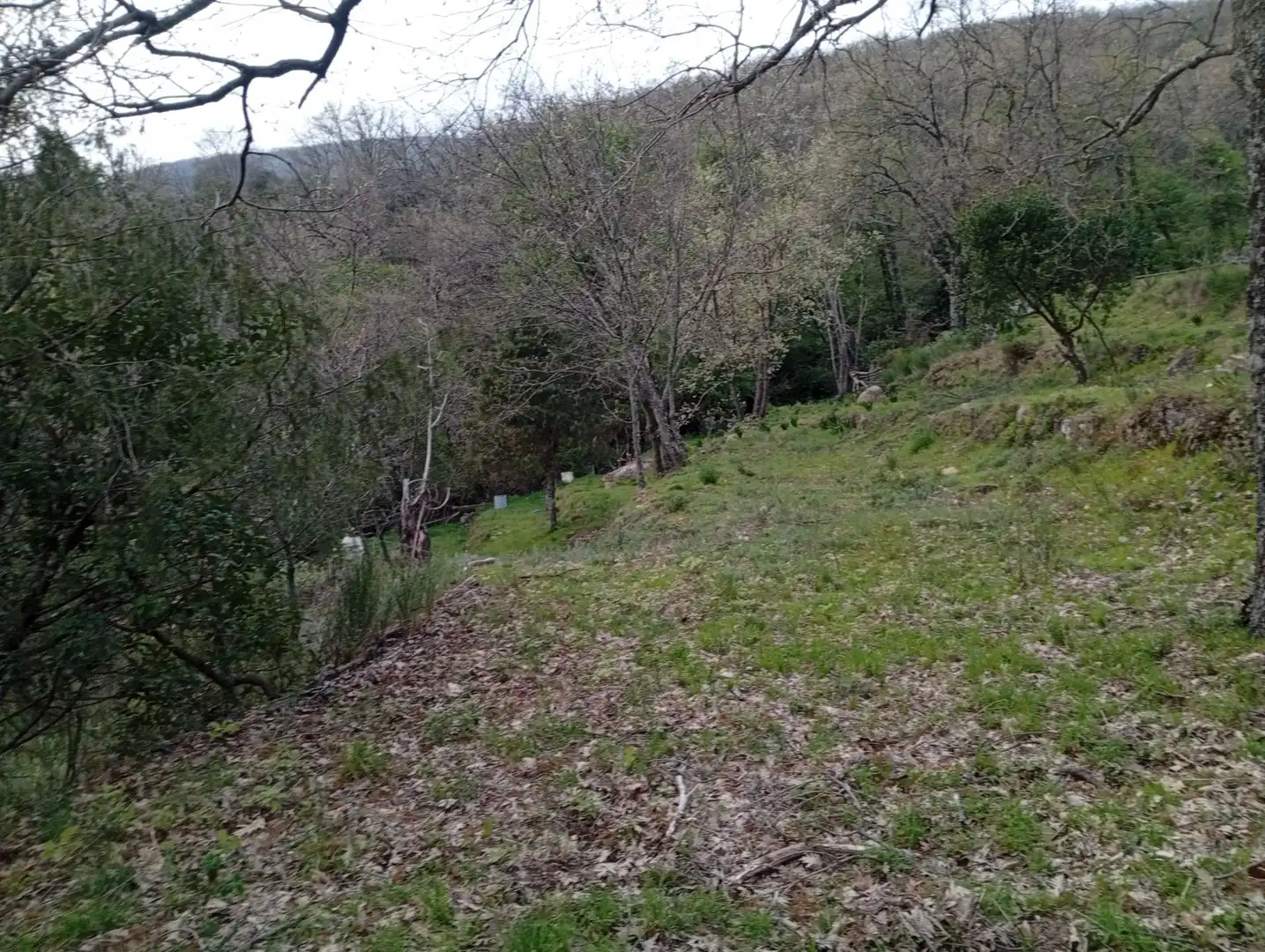 Terreni e lotti in vendita a Valverde de la Vera, imagen 108