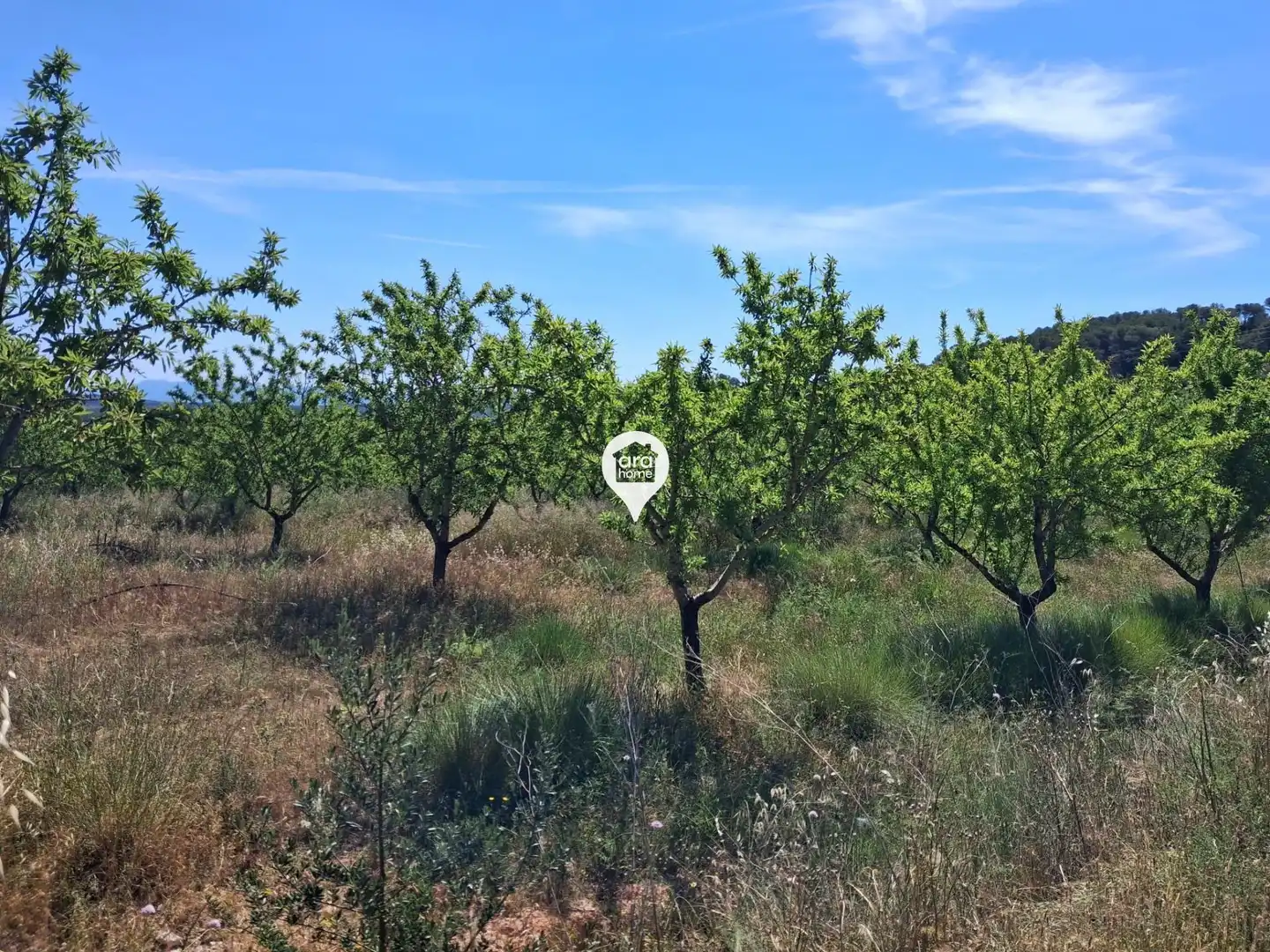 Land for sale in Madrid