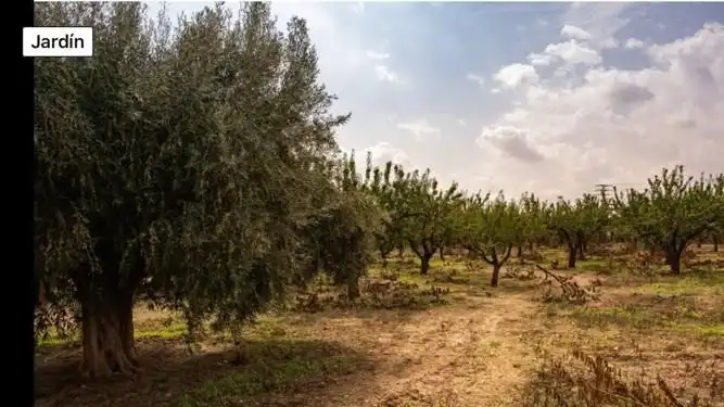 Casa o xalet en venda en Fuente Álamo de Murcia amb Jardí privat i Traster