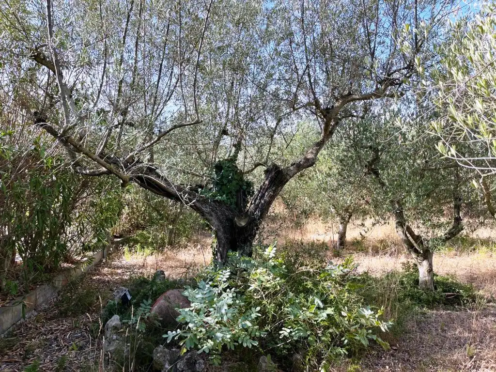 Casa o chalet en venta en Baldellou