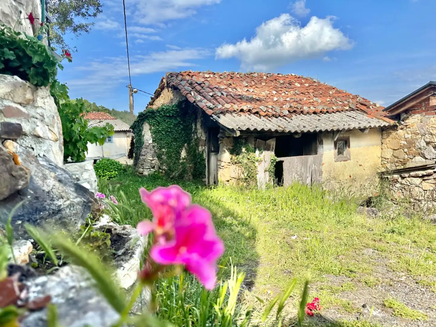 Casa o xalet en venda en Salas amb Jardí privat