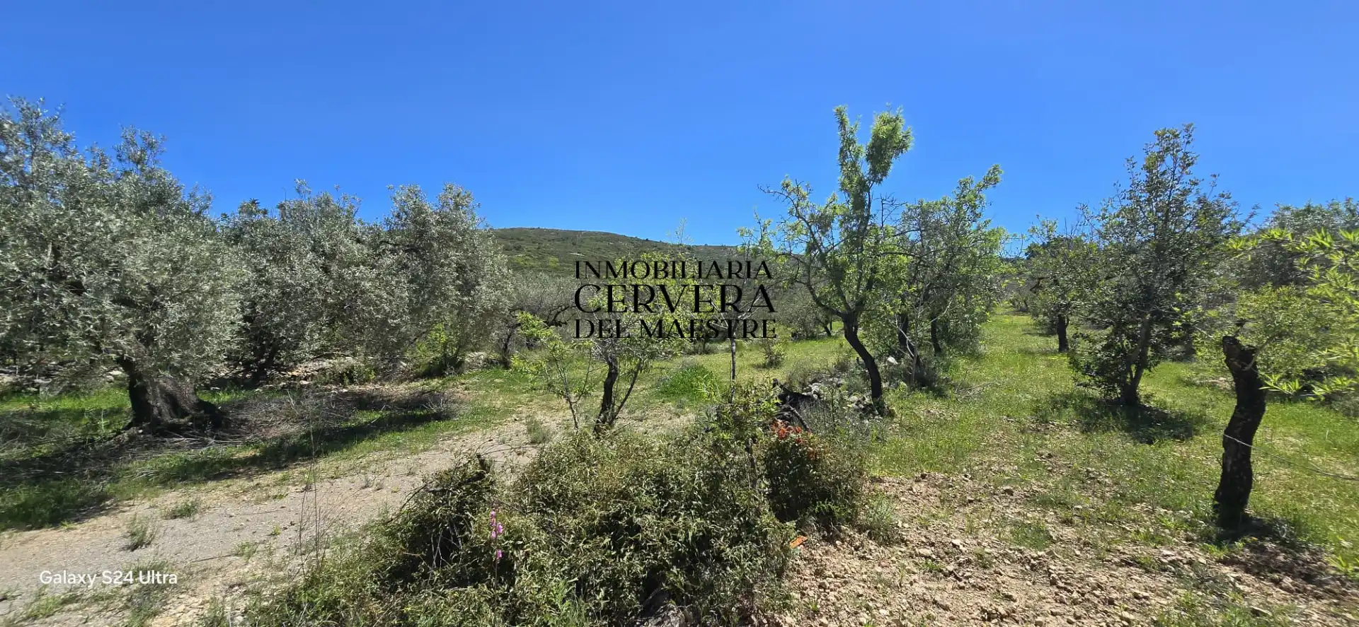 Finca rústica en venda en Cervera del Maestre amb Moblat