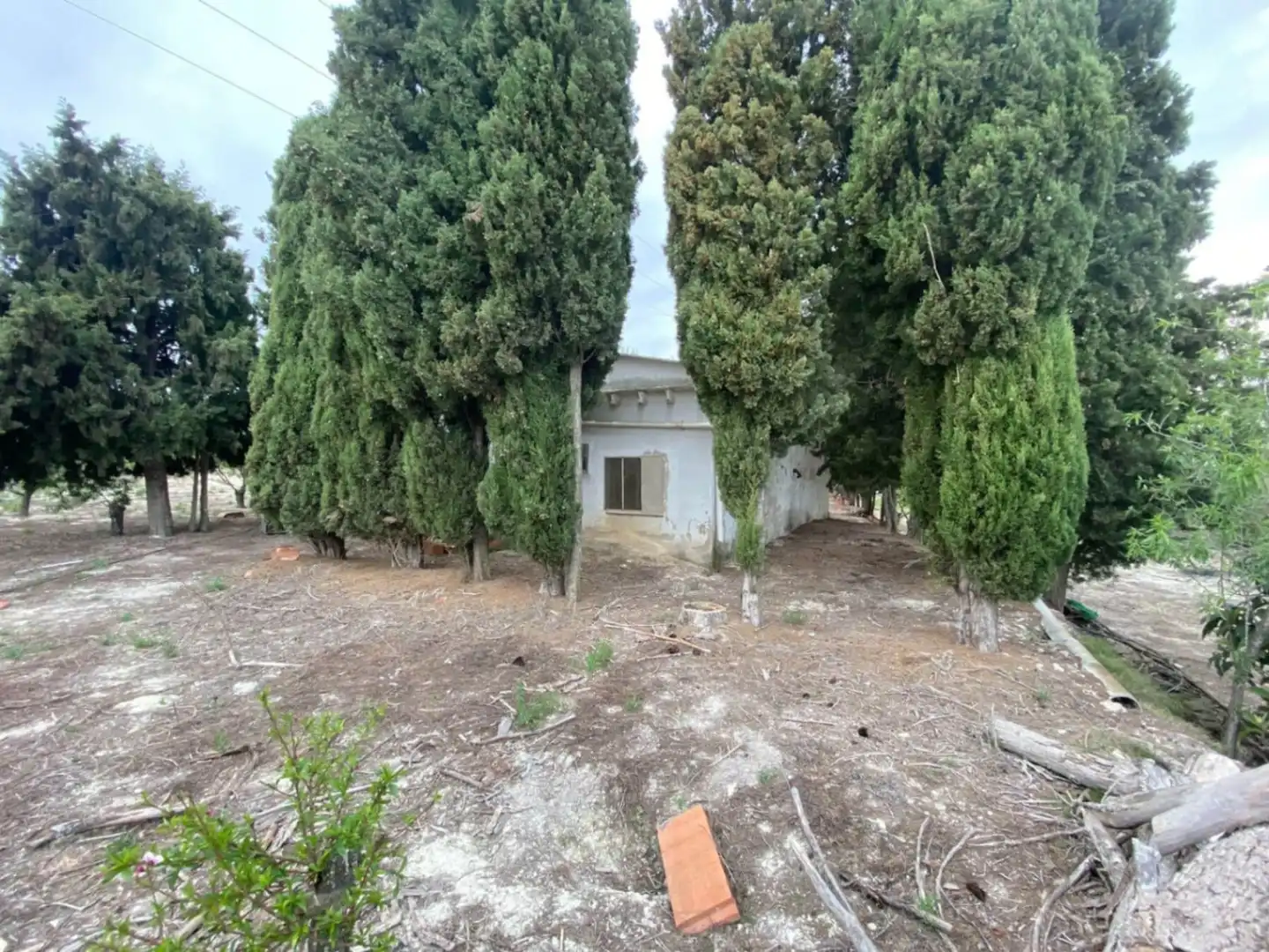 Finca rústica en venda en El Palomar, Valencia