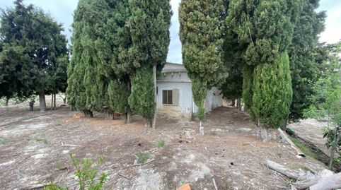 Foto 2 de Finca rústica en venda a El Palomar, Valencia