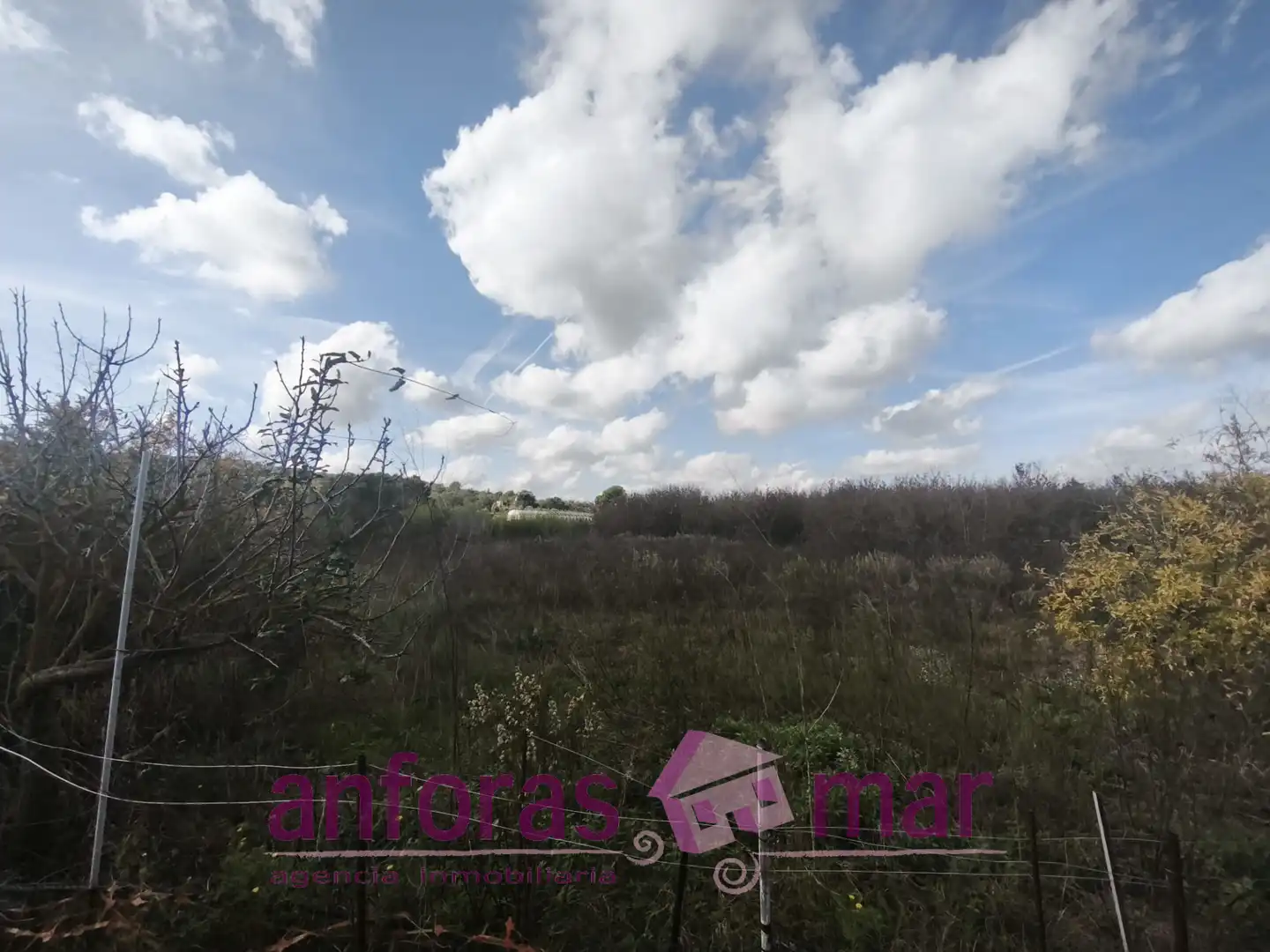 Terreno rústico en venta en La Riera de Gaià, imagen 11