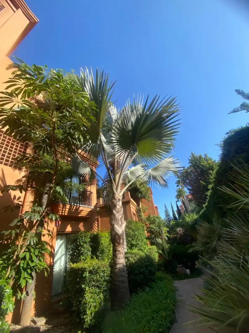 Piso con piscina en venta en Calle Pico Alcazaba 21, imagen 25