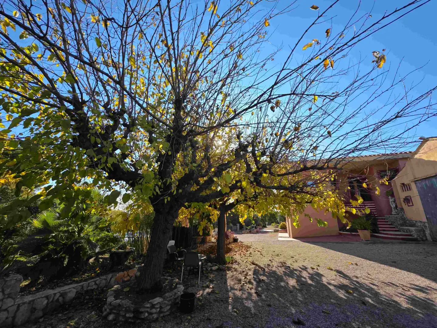 Vista exterior de Casa o chalet en venta en Valls con Jardín privado y Piscina