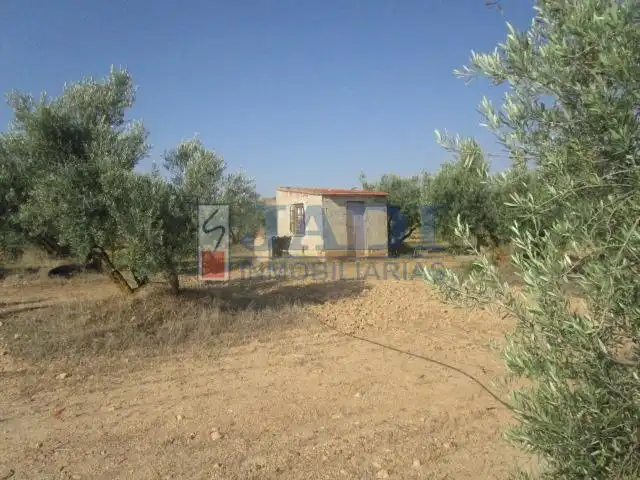 Casa rústica en venda a Valdepeñas, imagen 7