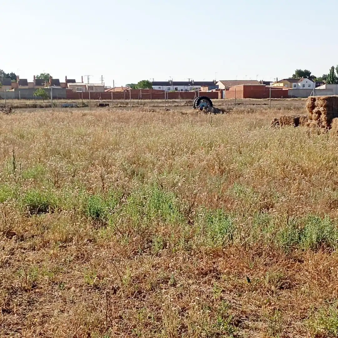Terreny rústic en venda a Camino del Cuadrado 50, imagen 11