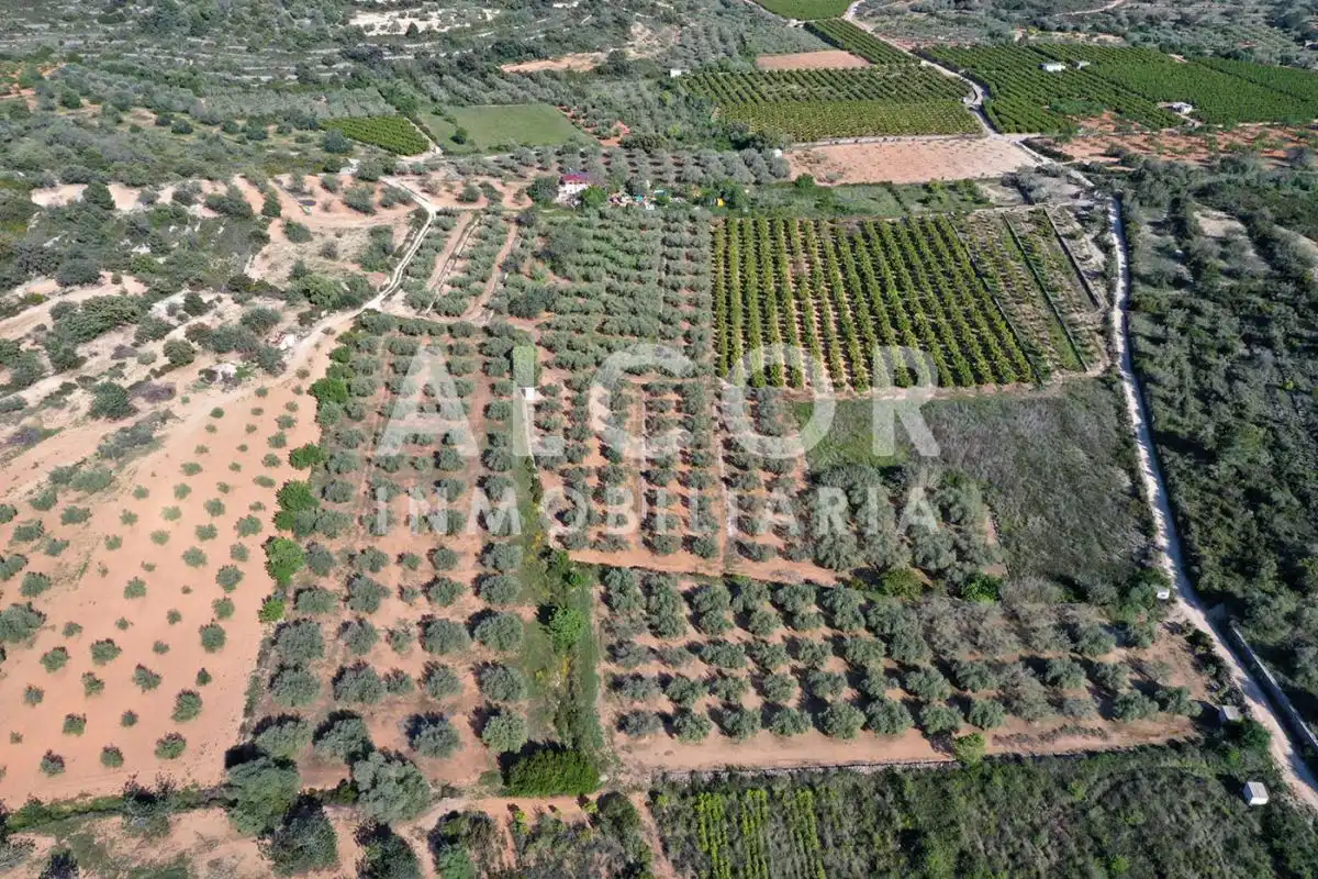 Finca rústica en venta en Cervera del Maestre