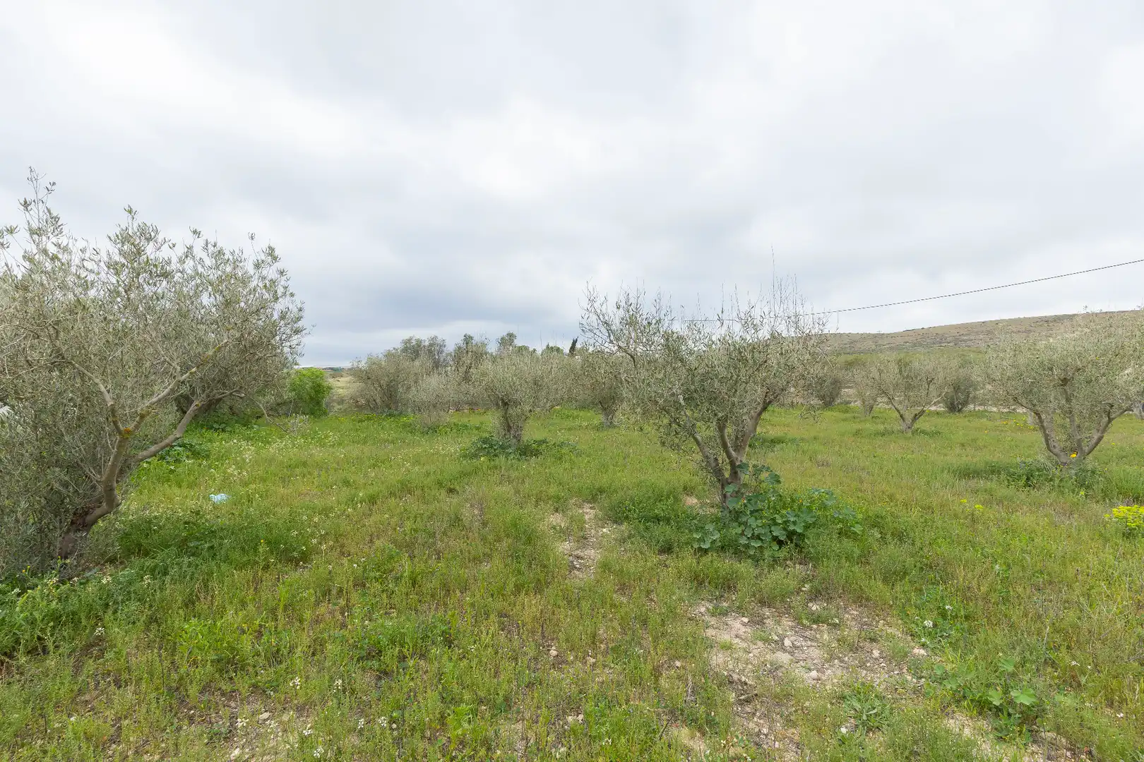Casa o chalet en venta en Níjar con Terraza y Amueblado