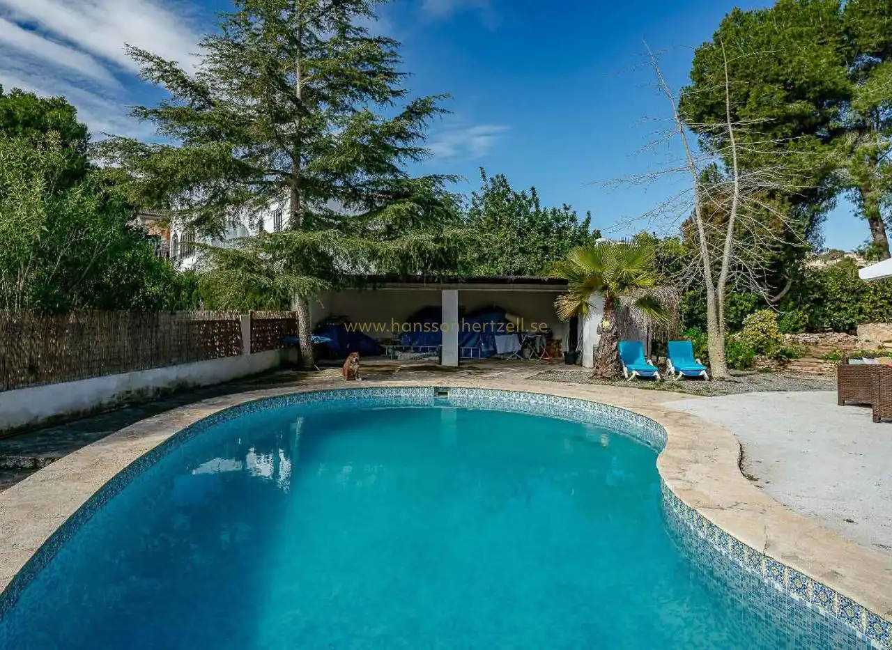 Swimming pool of Houses for sale in Alicante / Alacant