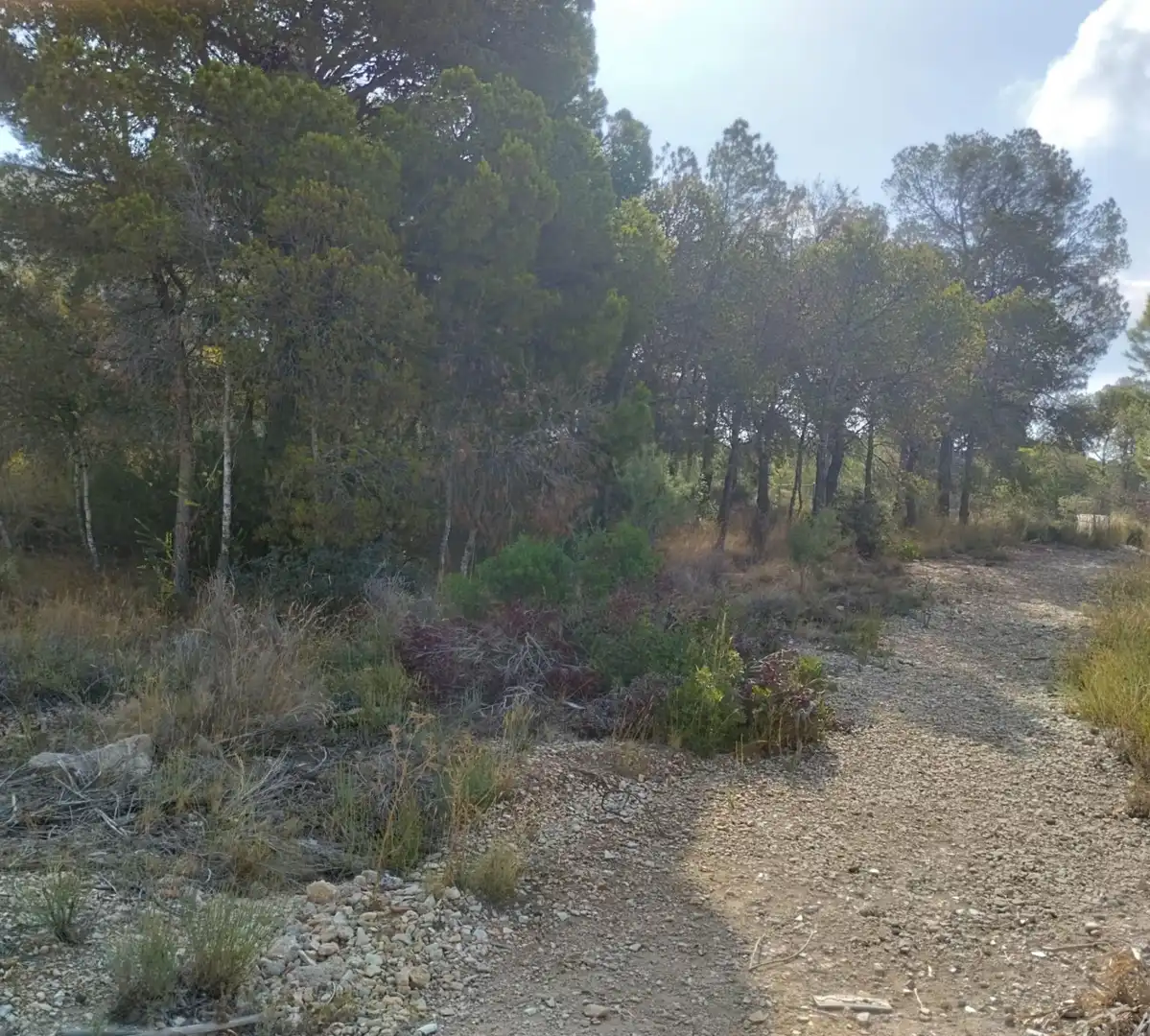 Terrenys i solars en venda a Golf Bahía, imagen 7