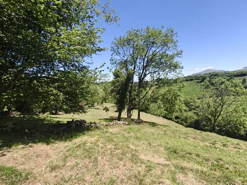 Terreno rustico in vendita a Proaza, imagen 45