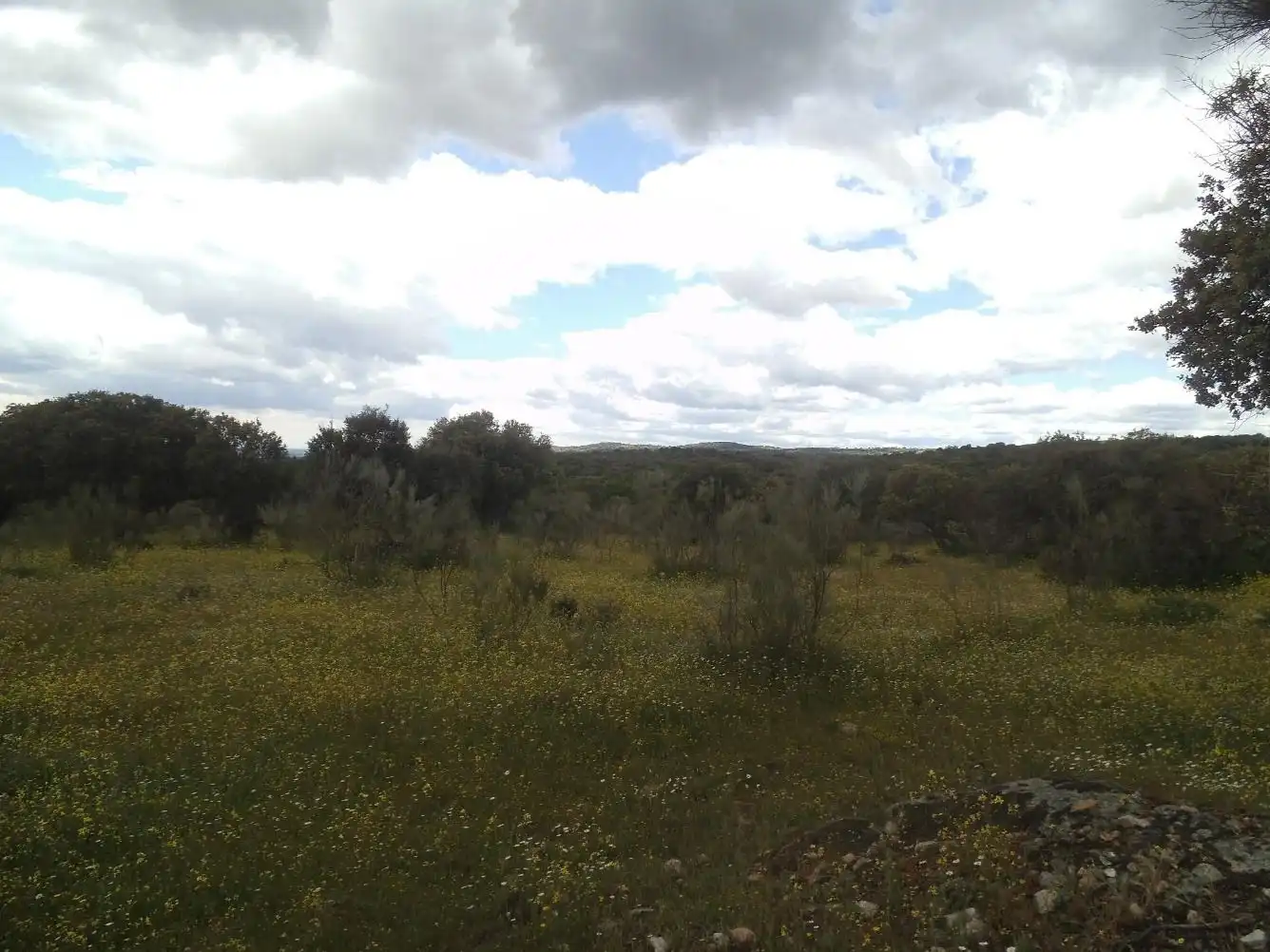 Residencial en venda en Valdemorillo