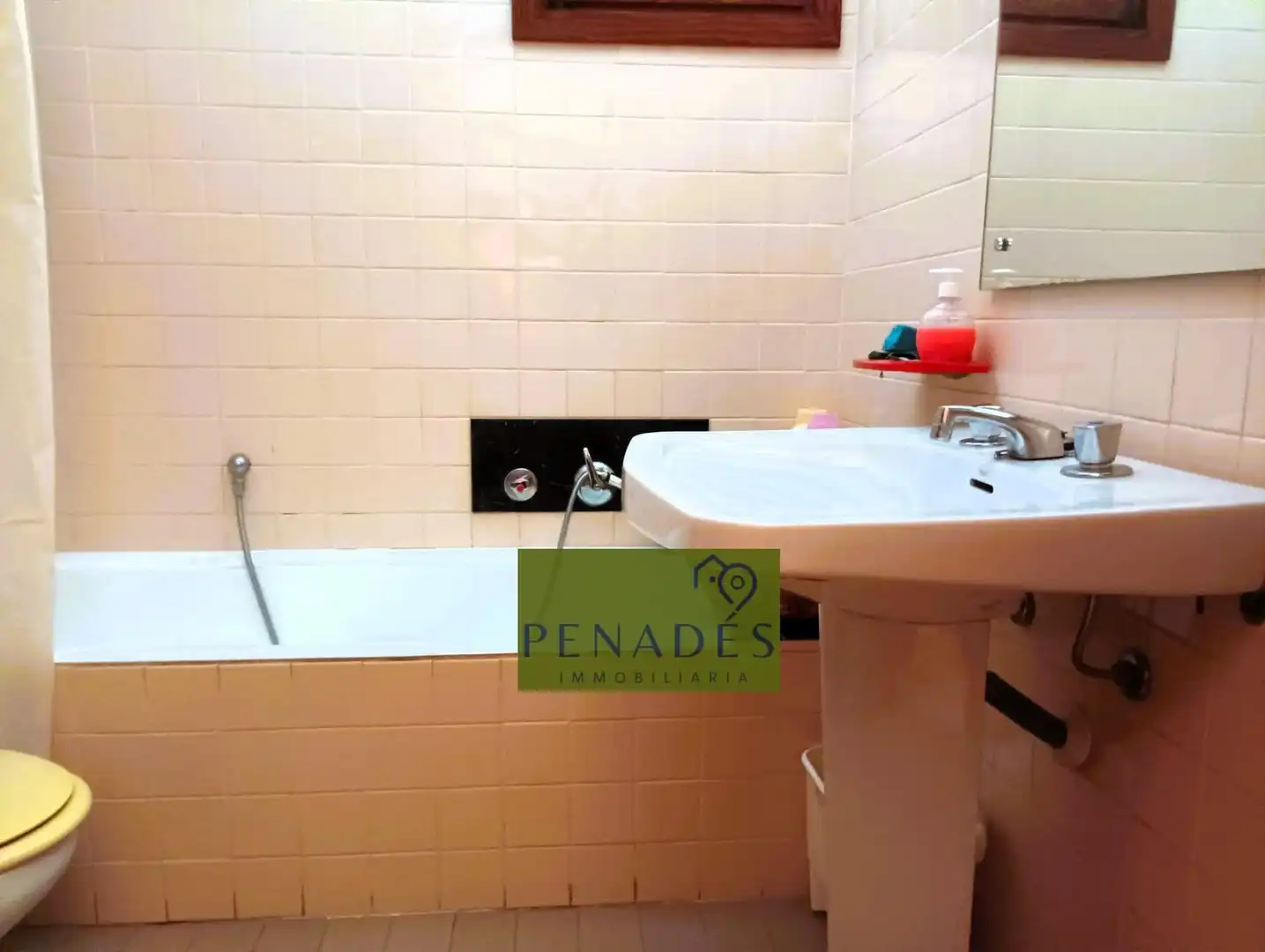 Villa in vendita a Santa Ana, imagen 27