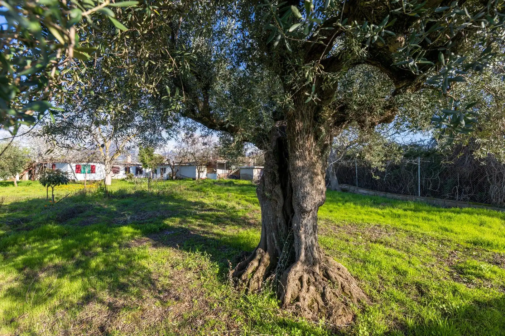 Country homes for sale in Villa de Otura  with Storage room