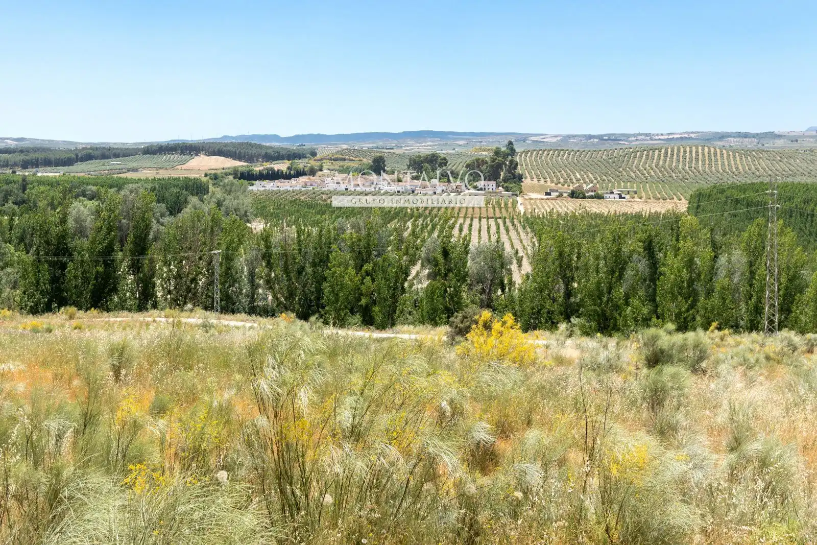 Exterior view of Land for sale in Pinos Puente