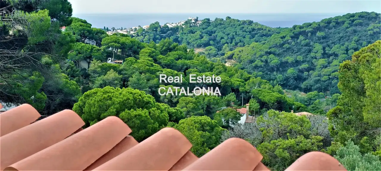 Vista exterior de Casa o chalet en venta en Lloret de Mar con Aire acondicionado, Calefacción y Jardín privado