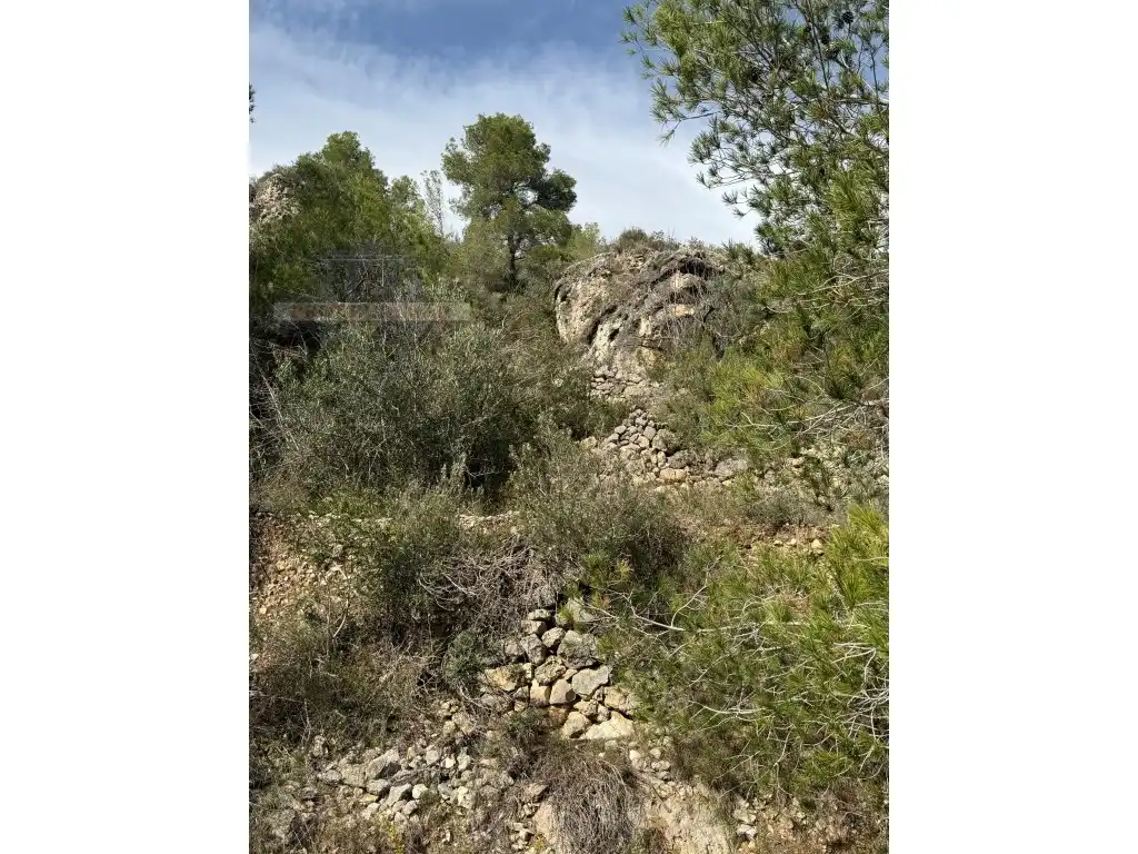 Country house for sale in Poligono 82 Paraje 6 Camp-Redo, imagen 11