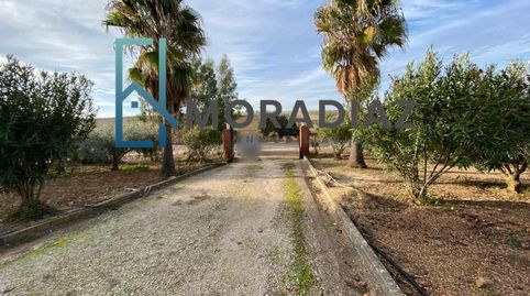 Foto 3 de Casa o chalet en venta en La Haba , Badajoz