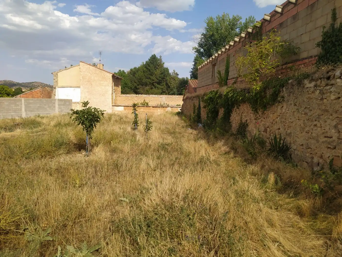 Terreni e lotti in vendita a Calamocha, imagen 3