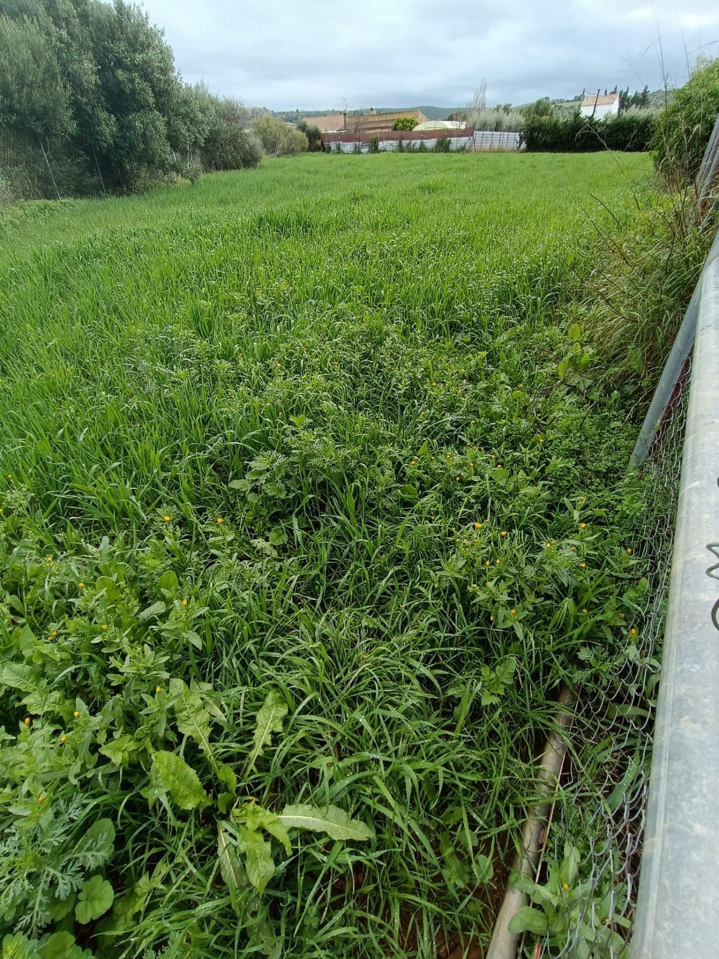 Grundstücke zum verkauf in Arcos de la Frontera
