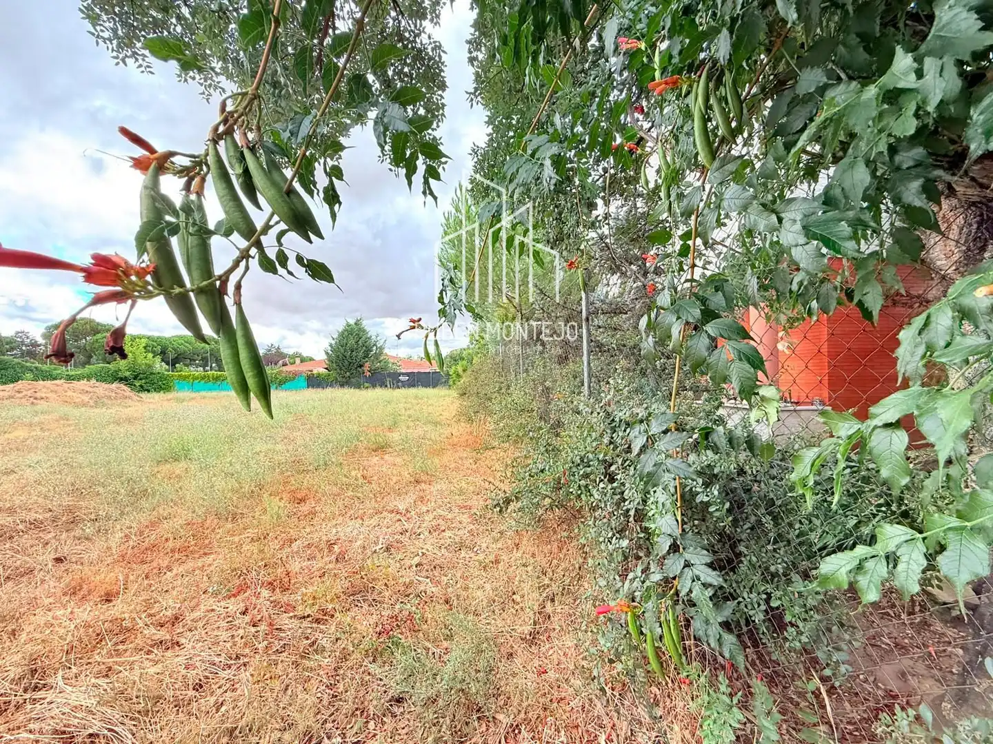 Residential land for sale in Mimbre, imagen 13