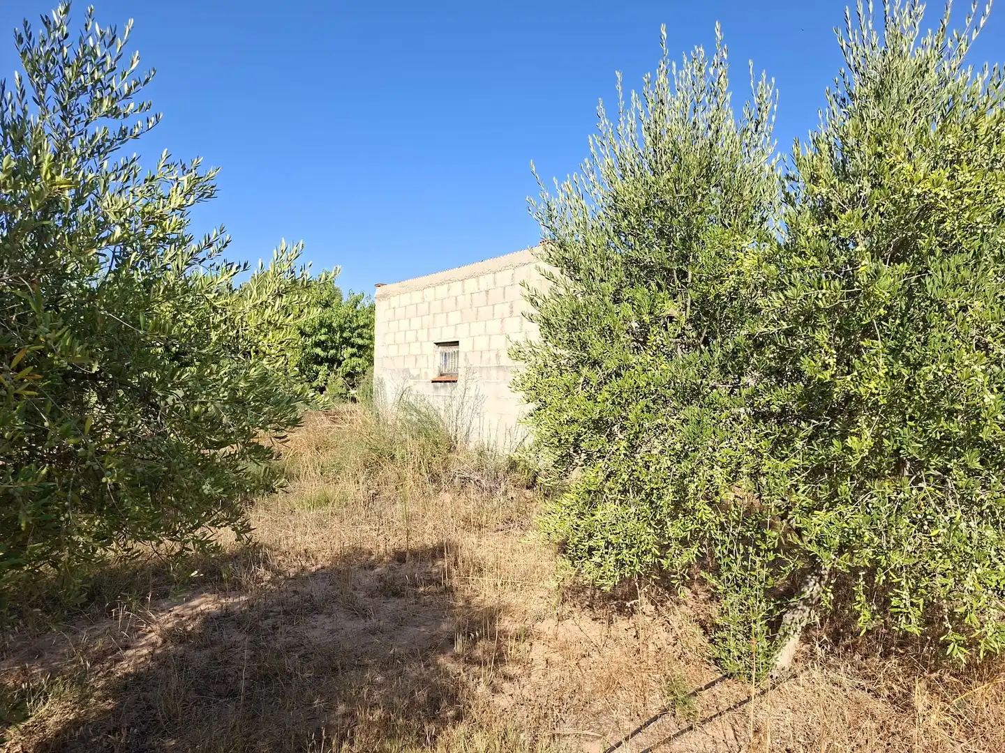 Terreno rustico in vendita a Diseminado Diseminats 6, imagen 24