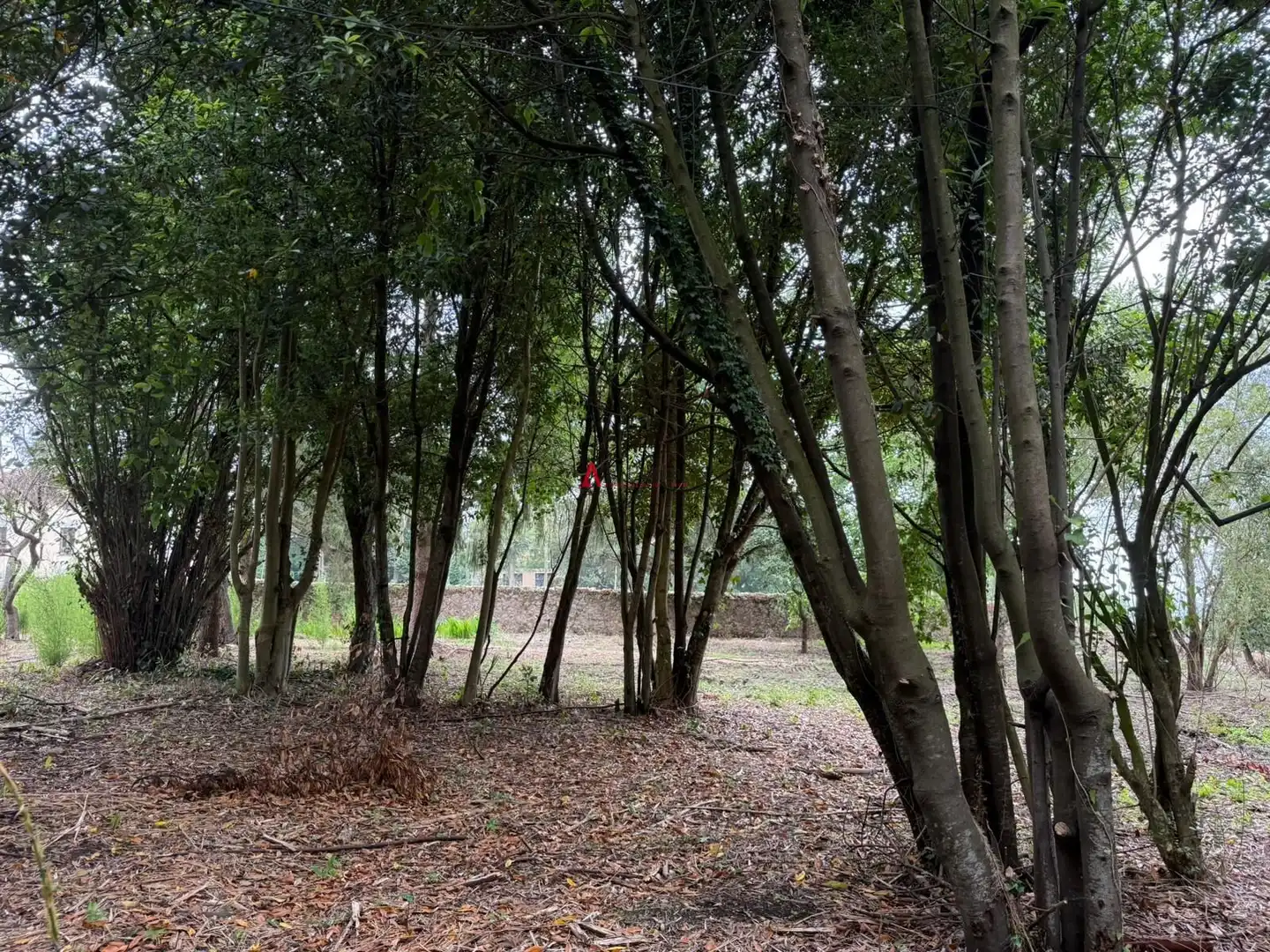 Casa en venda a Ribamontán al Monte, imagen 24