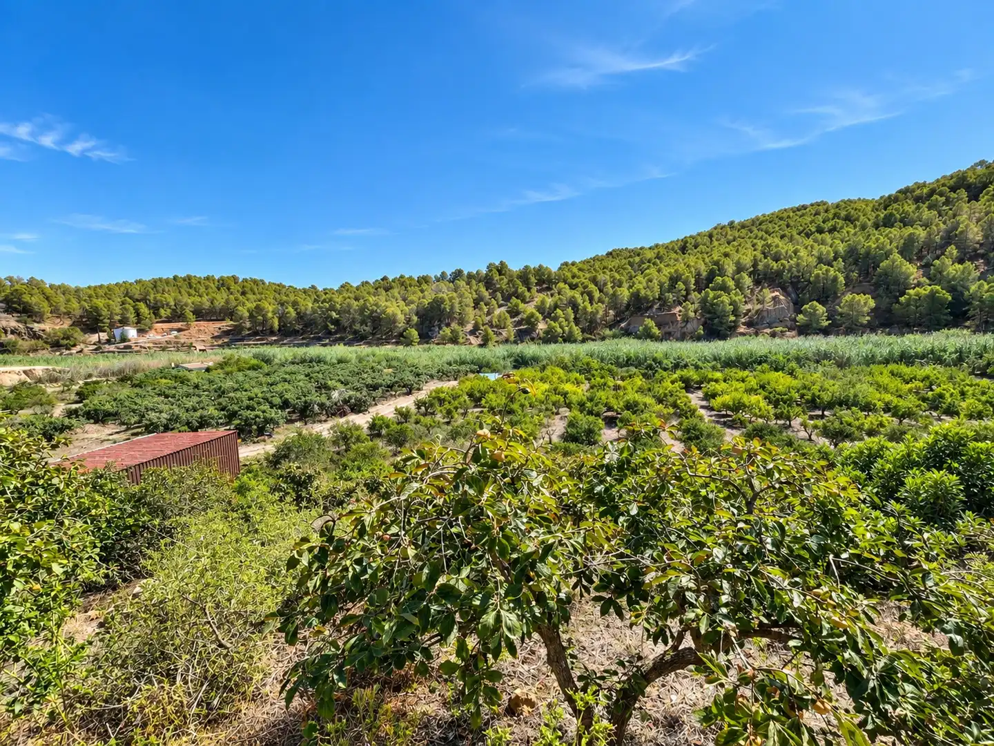 Maison rustique à vendre à Altea ciudad, imagen 31