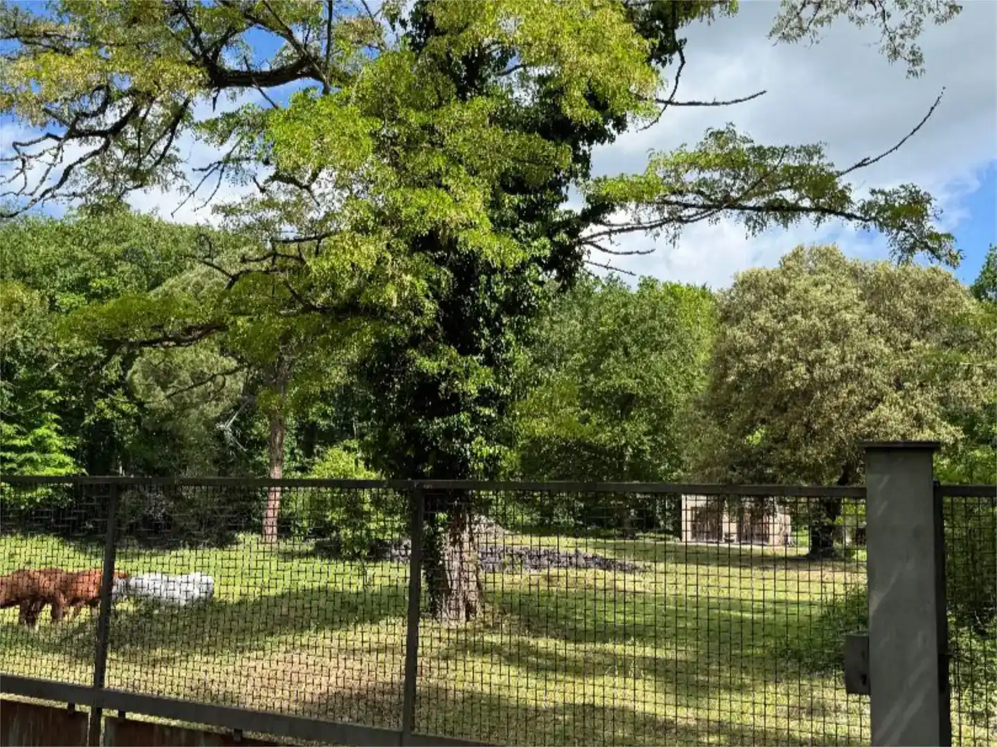 Pis en venda en Santa Pau amb Jardí privat i Traster