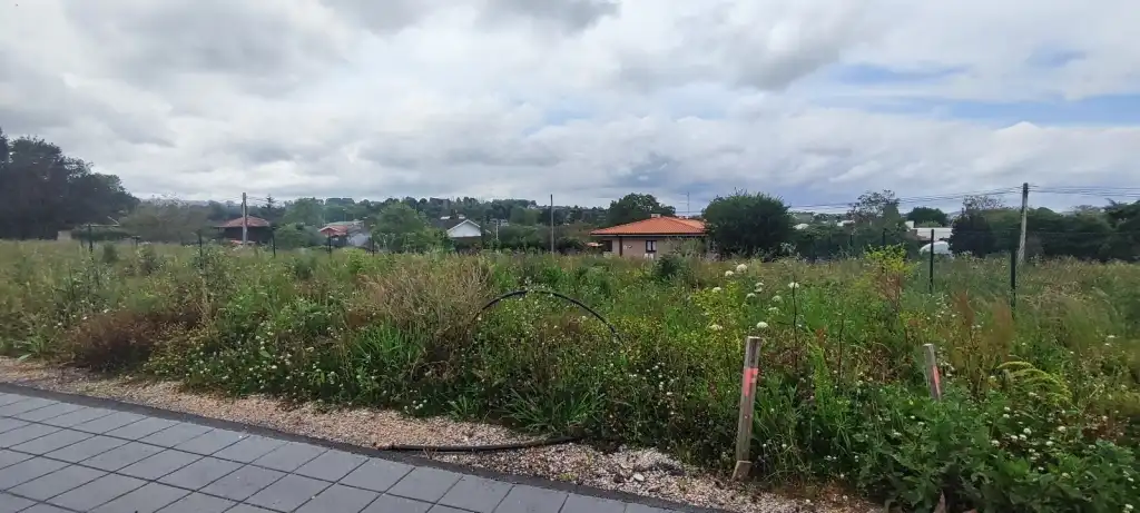 Terreny residencial en venda a Camino de los Maizales 308, imagen 3