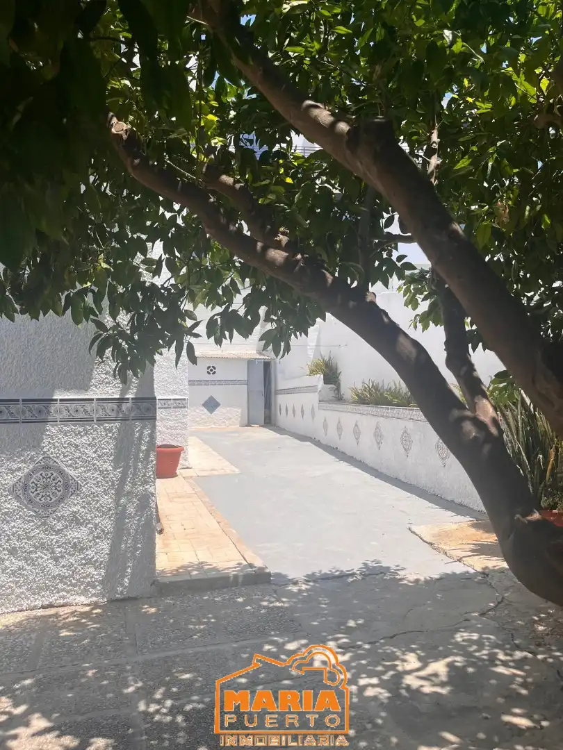 Vista exterior de Casa o chalet en venta en Málaga con Jardín privado y Terraza
