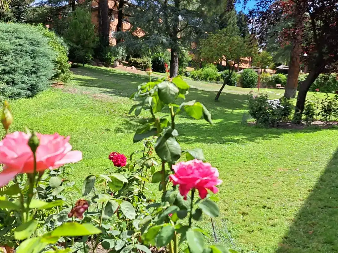 Jardí de Pis de lloguer en Majadahonda amb Aire condicionat i Piscina