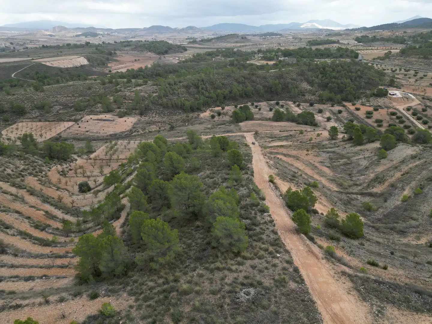 Terreny residencial en venda a Jumilla, imagen 7