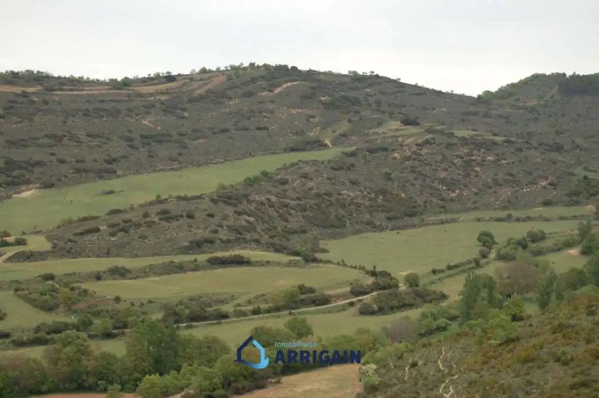 Casa o chalet en venta en La Moraleja con Jardín privado